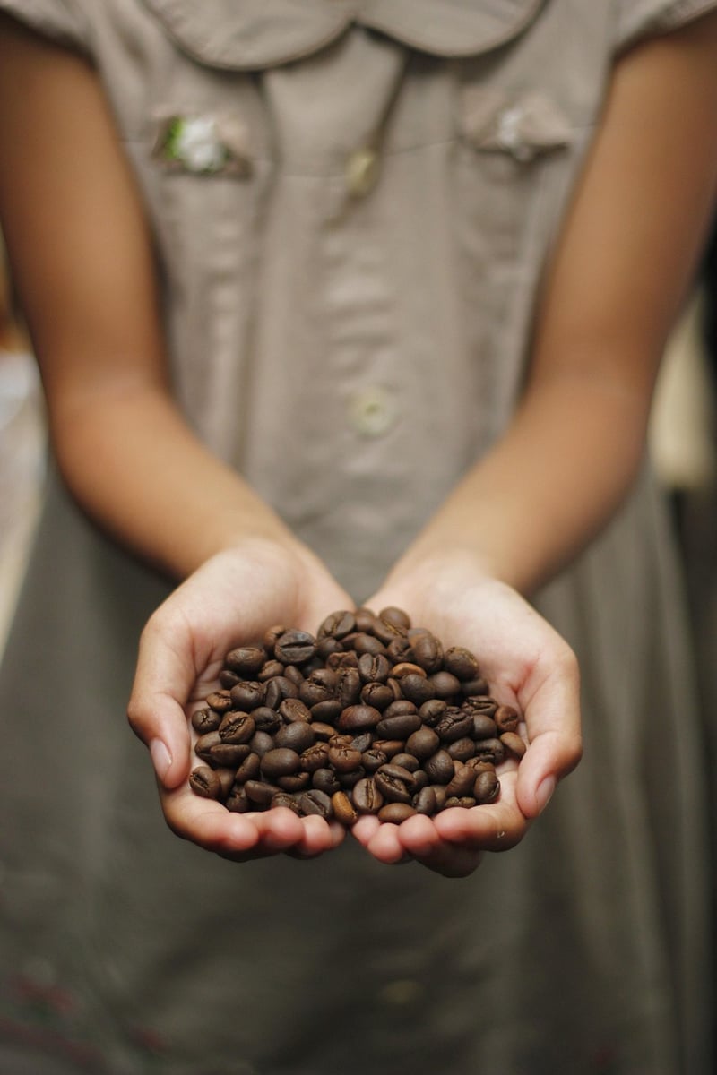 Dark Chocolate and Coffee